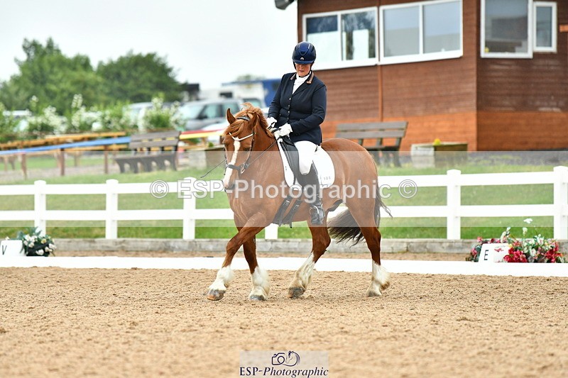 230630A-130404-02277 - Cls 8 Elementary 57