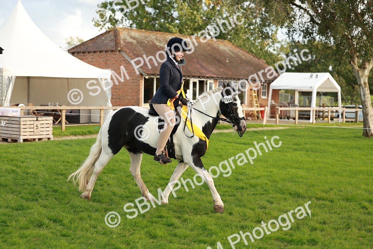 SBM_28927 - S7 - Novice & Newcomer Ridden Pony