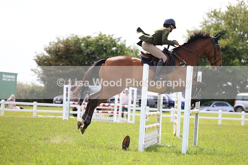 3E7A1874 - Class 13: Senior British Novice/90cm open