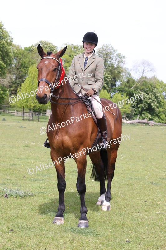 20260426-4425 - Class 34 - Best Riding Horse Over 14.2hh