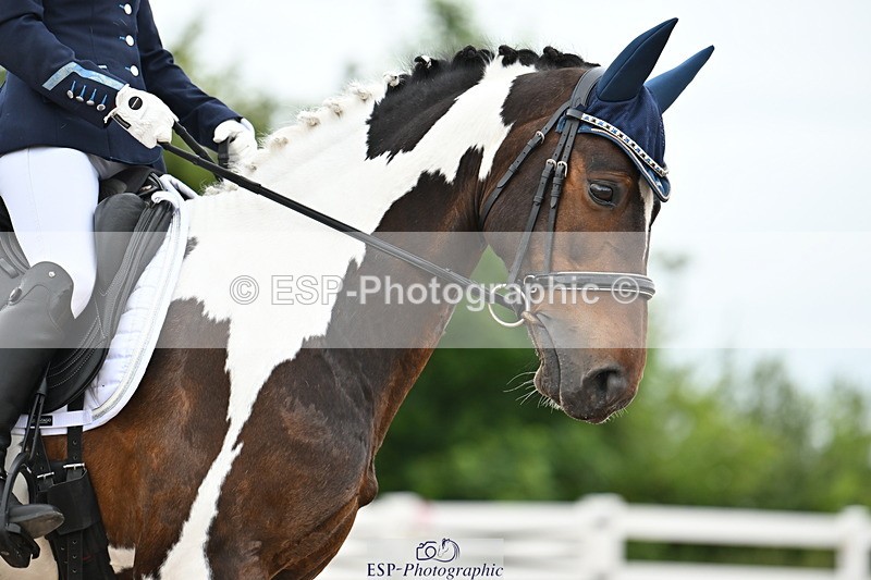 240623A-150811-19504 - Cls 51 BD Elementary 53