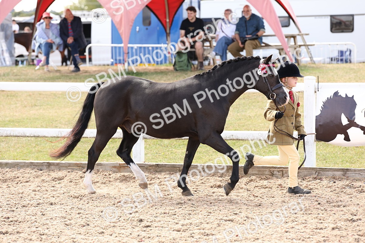 SBM_15050 - Class 209 - IH Veteran Pony