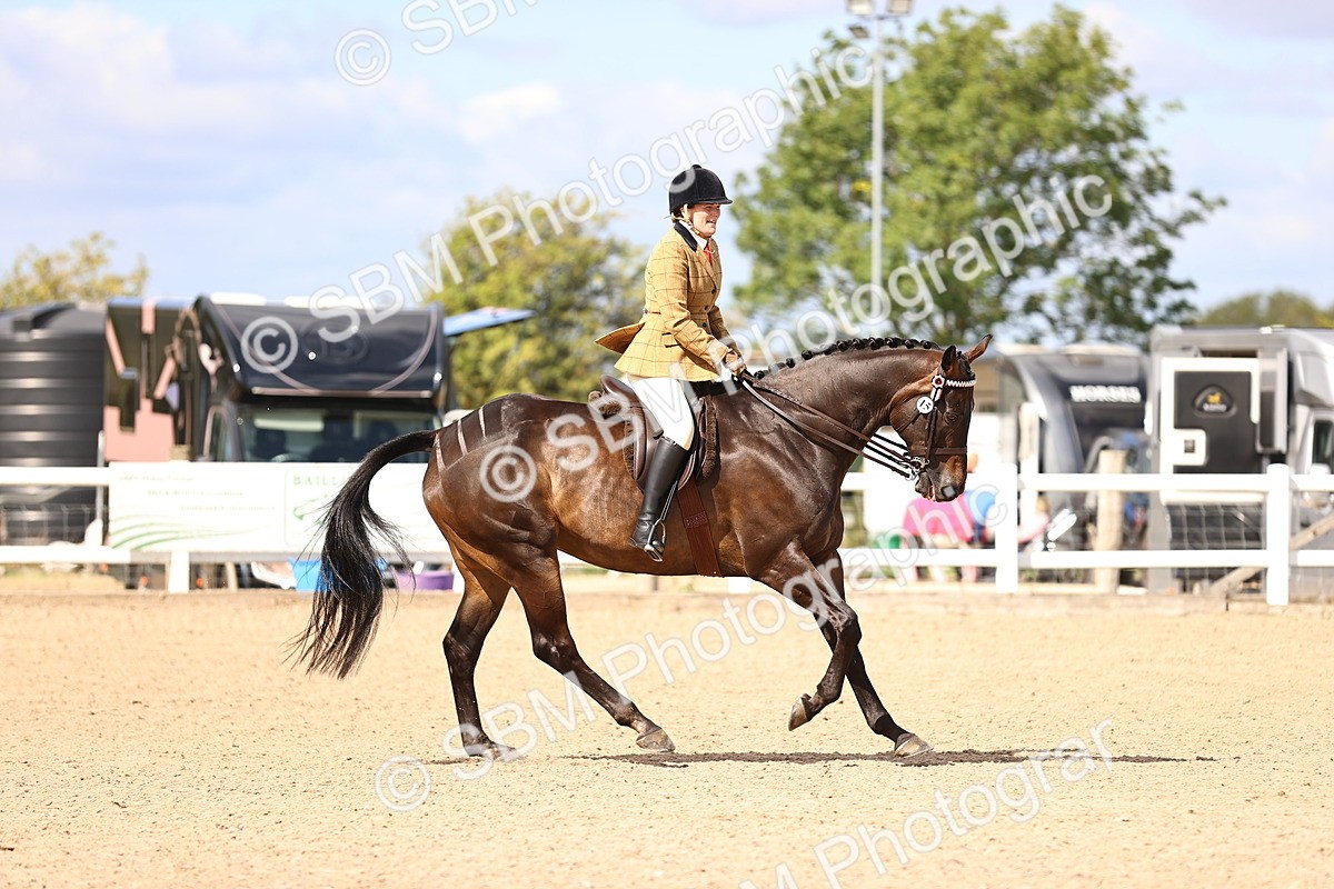 SBM_12923 - Class 410 - Grassroots Ridden - Horse