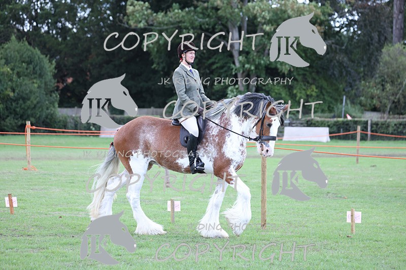 APP_3613 - Class 8 Ridden Class