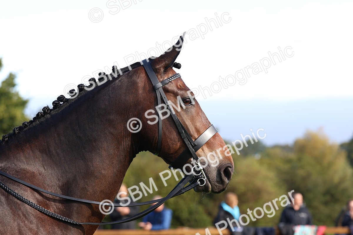 SBM_36913 - S11 - Best Ridden Horse & Pony