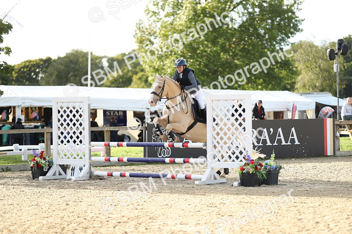 SBM_11444 - J37 - Veteran Rider 75cm