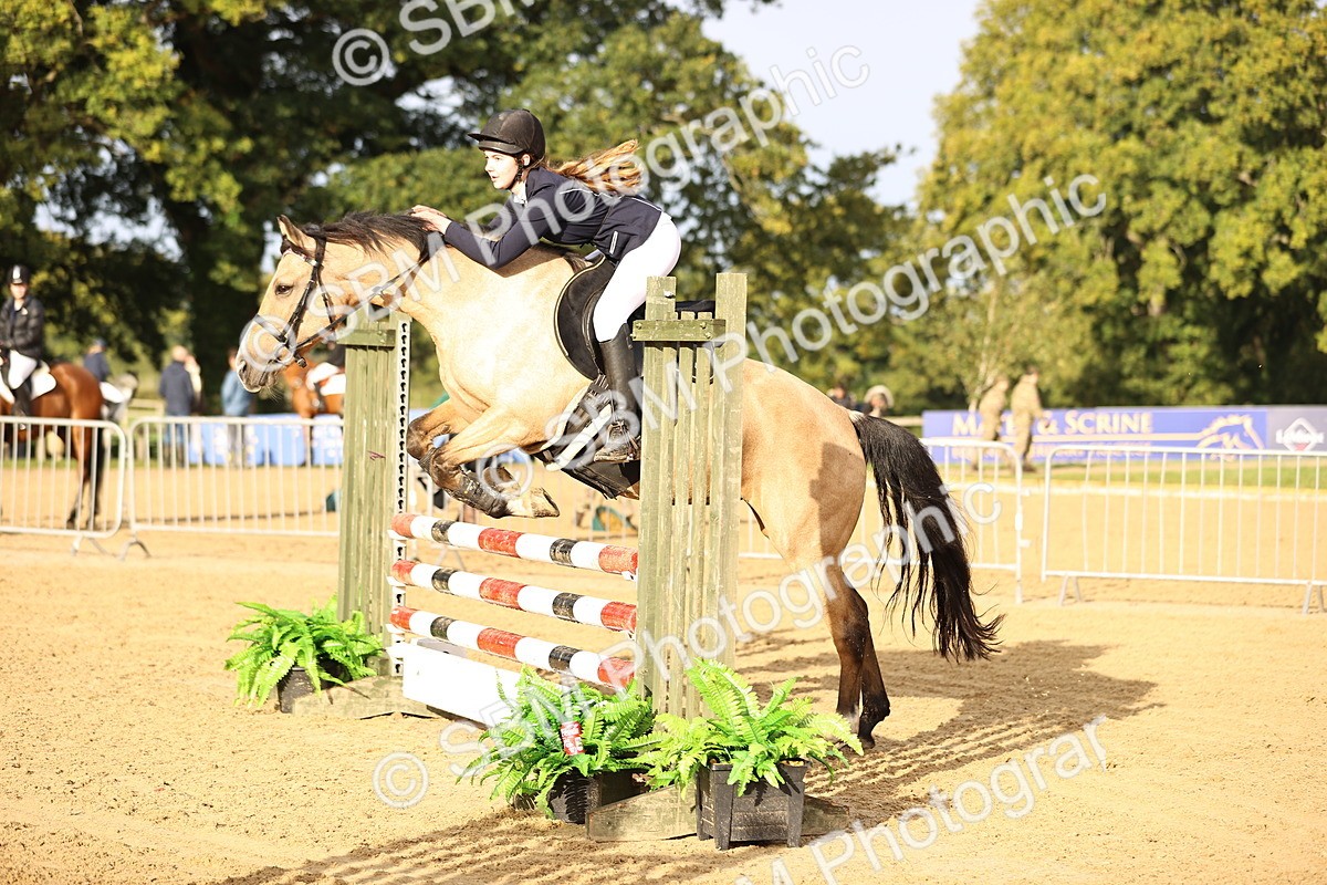 SBM_55216 - J62 - Clear Round 90cm