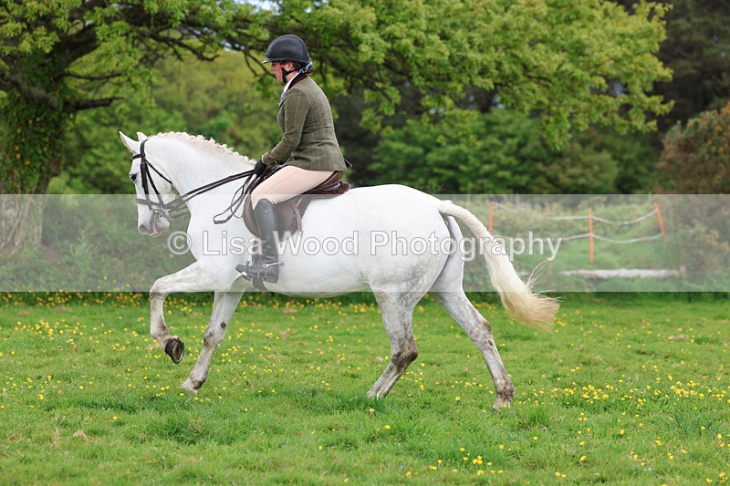 3E7A1184 - Class 7: Ridden Hunter Type