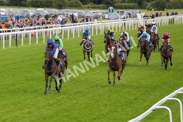 150624-Race 1-Lord Melbourne-6057 - Race 1 1.50pm Queen Mother's Cup Handicap