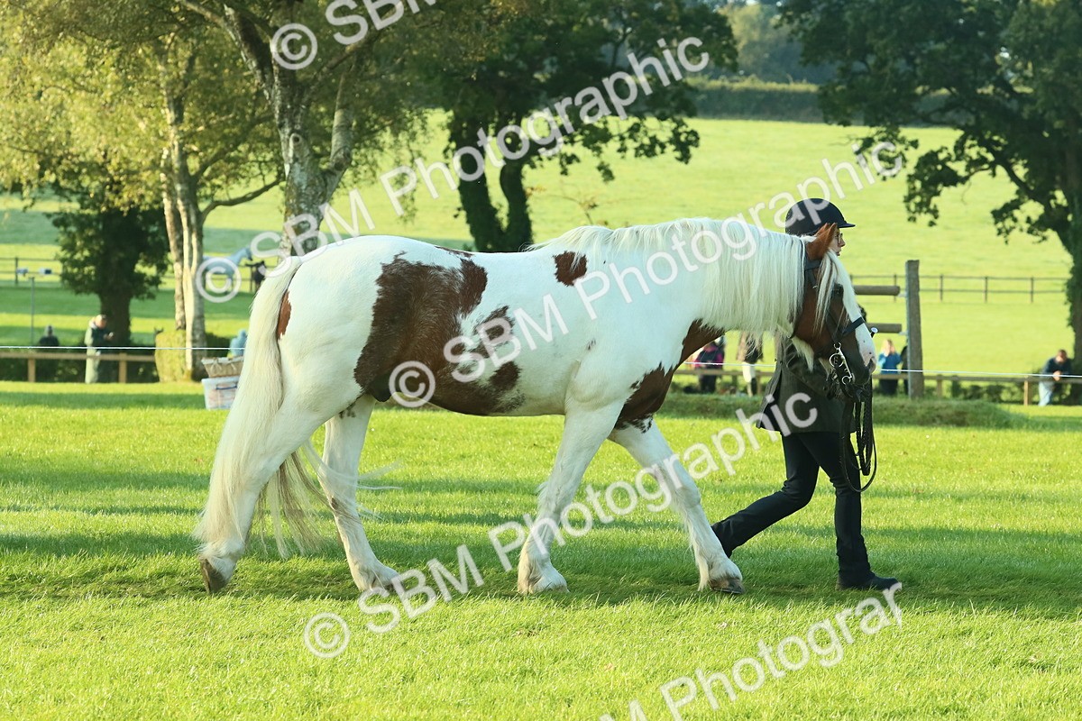 SBM_57324 - S37 - Starters In Hand Showing
