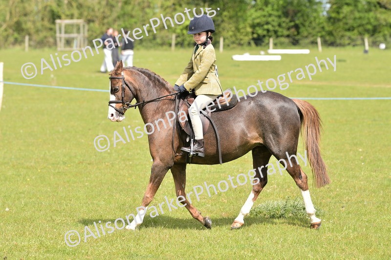 20260426-2331 - Class 20 - Beginner Working Hunter