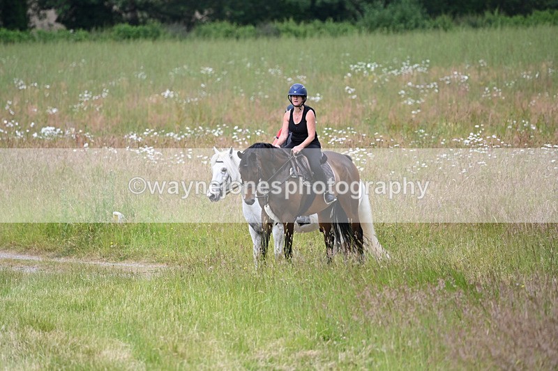 WJ6_8012 - Camera 1 Gallops