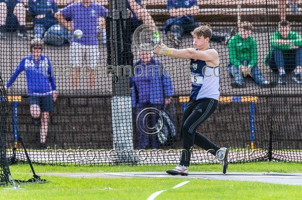 SIAB23-514721 - Field Male Set One