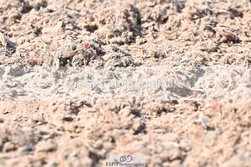 250620-164548-05274 - BD Cls 11 - Medium 6, 16.30 to End