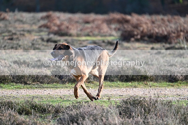 WJ7_8006 - Line 3 (no line 4 or 5)