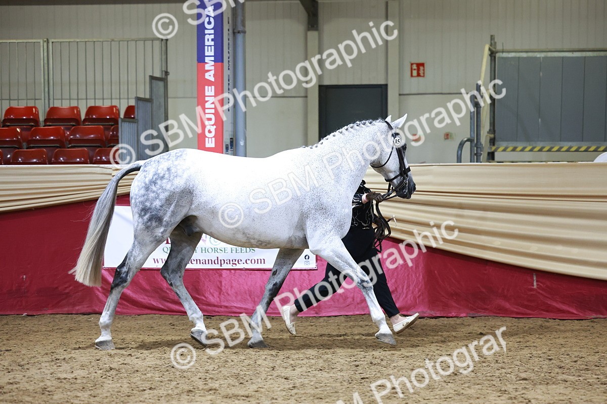 SBM_20325 - Class E - Best Turned Out Champ