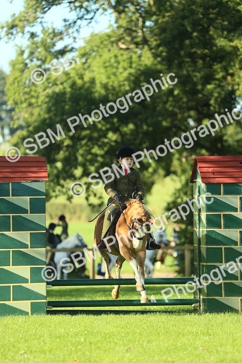 SBM_36345 - S29 - Novice & Newcomers Working Hunter Pony