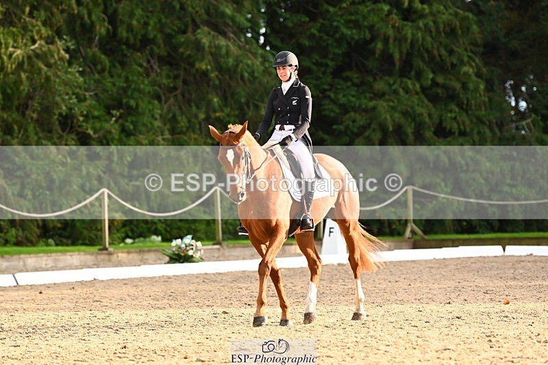 231021-161727-21075 - 265-EG.TIGER.CHILLI-Tayla.Mason-DR