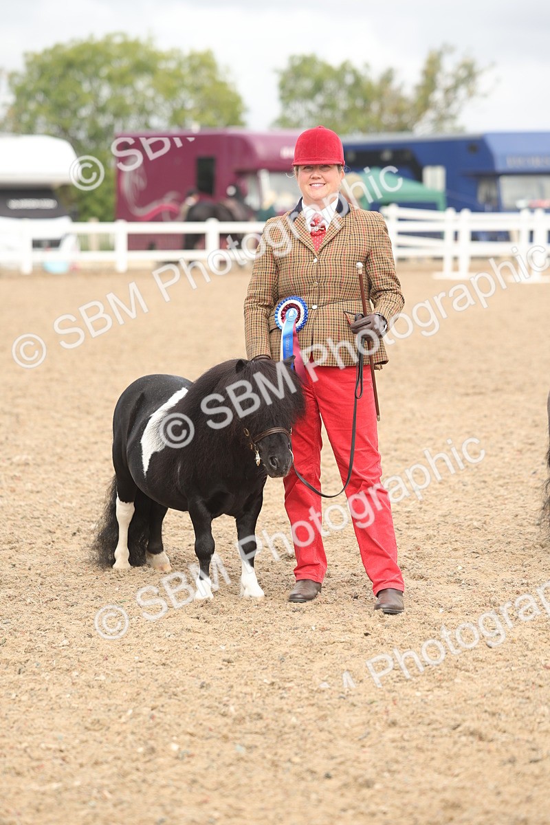 SBM_02140 - Class 15 - IH Coloured