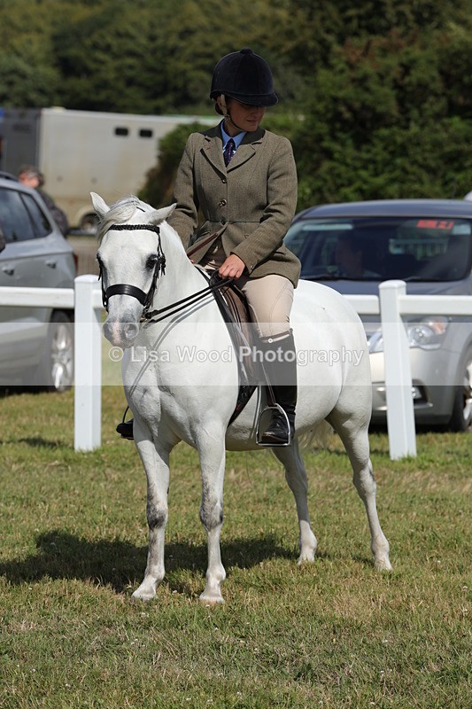 1X9A5733 - Class 40: NPS Welsh A & B