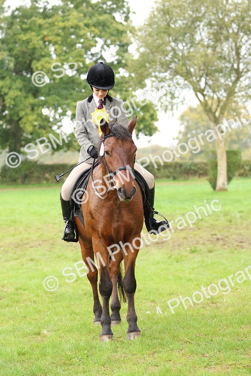 SBM_69753 - S62 - Mountain & Moorland Ridden Large Breeds