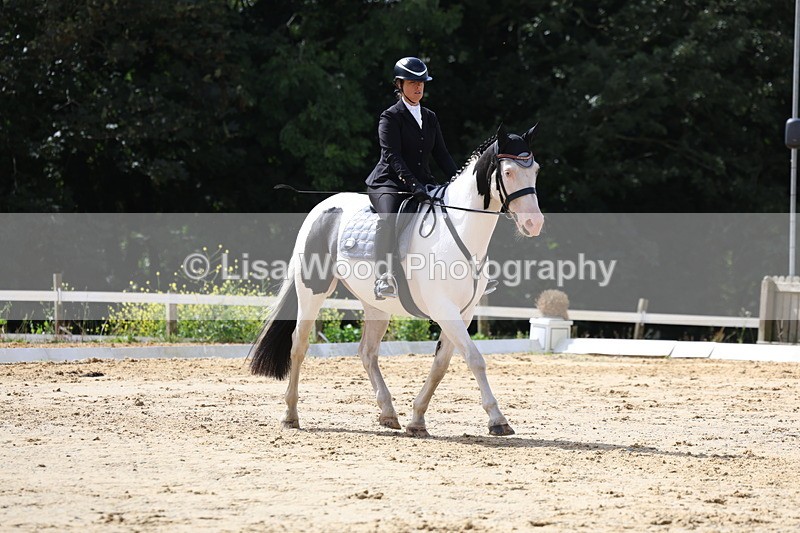 3E7A4039 - Class 9: Novice 6 Section B Championship