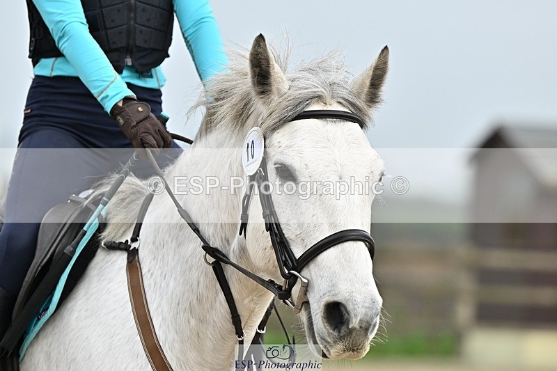 241110-112417-00418 - 50-55cm Arena Eventing