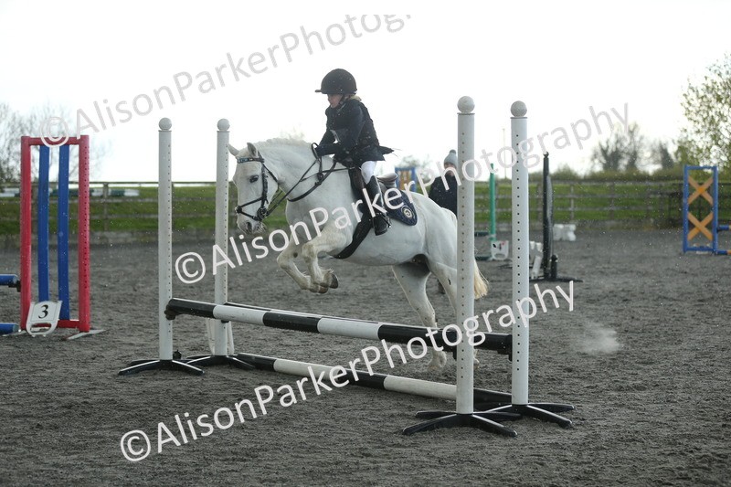 20260412-1939 - Show Jumping