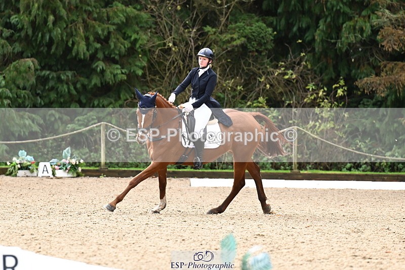 251023A-124241-02304 - B-154-Holly.Law