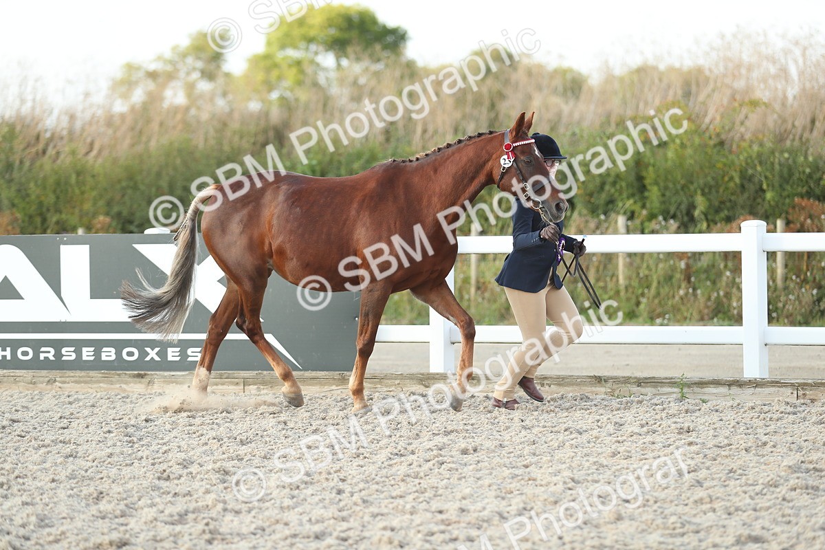 SBM_09128 - Class 29 IH Veteran Pony