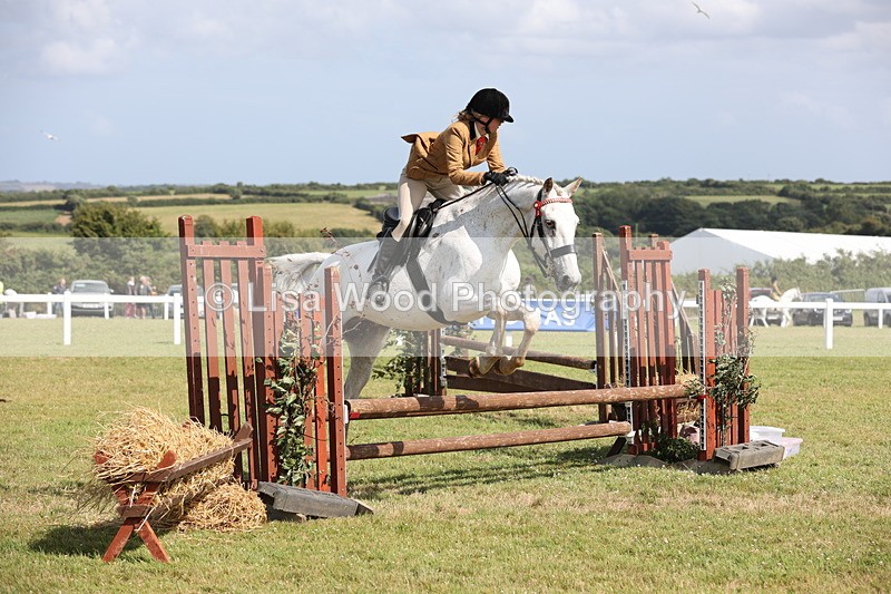 JPP_2500 - Class 20: Working Hunter 70cm