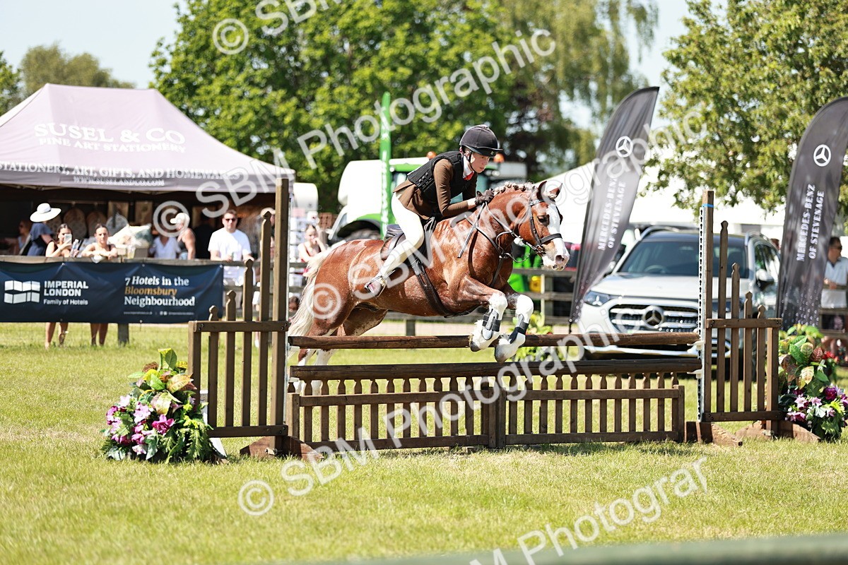 SBM_17629 - Class 112-113 - BSPS LIHS Working Sports Pony