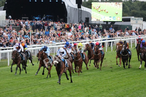 yr22072022r7-27 - Race 7 8.25pm The Sky Bet Go-Racing-In-Yorkshire Summer Festival Stakes