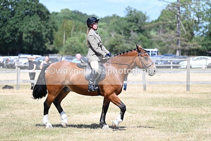 WJ7_3474 - Class 8 Ridden Veterans