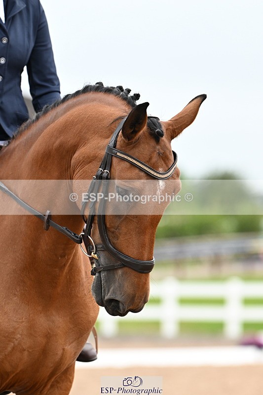 240623A-092224-16011 - Cls 25+26 Quest Intro A