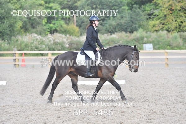 BPP_5486 - INTRO TEST 3