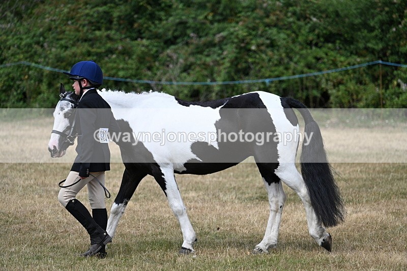 WJ7_1659 - Class 4 Prettiest Mare up to 14.2hh in hand