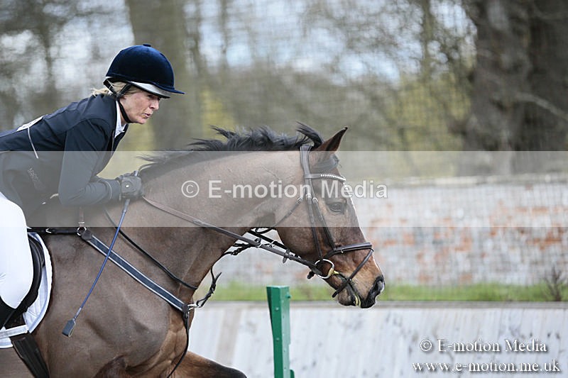 BVRC SJ 170319 462 - Bourne Valley Riding Club Showjumping 17/03/19