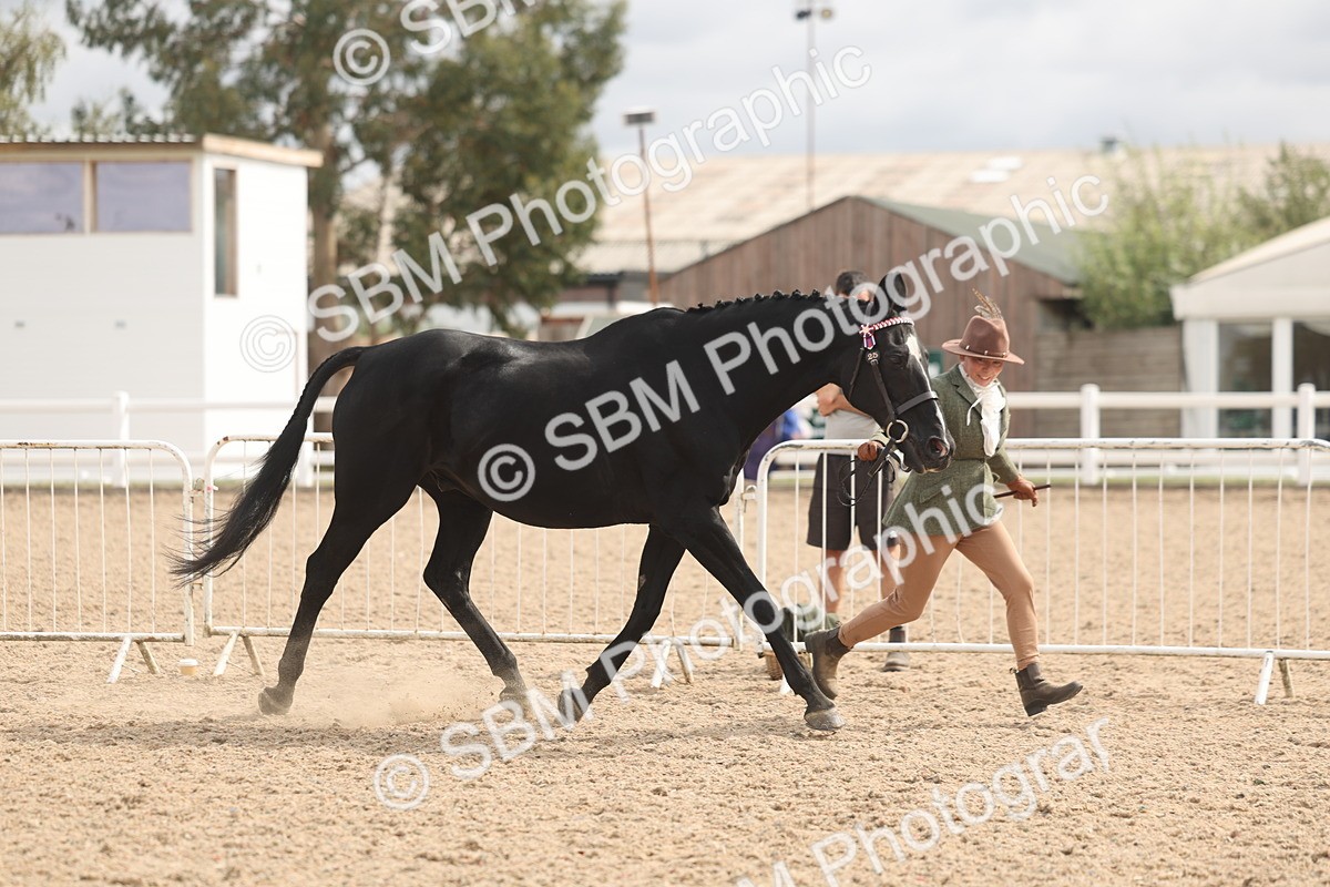 SBM_04936 - Class 20 - IH Veteran
