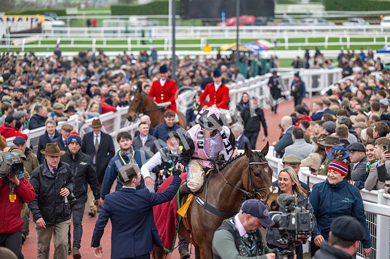 120326-Race 5-Heartwood-8408 - 12th March
