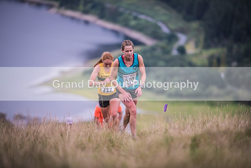 Steel Fell-153 - Steel Fell Race Wednesday 9th August 2023