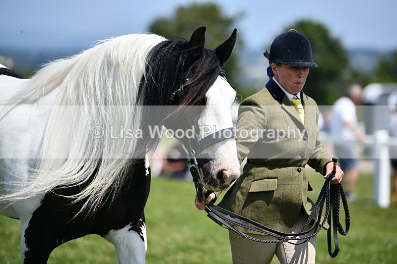 DSC_7758 - Class 64: Coloured Pony 4yrs & over