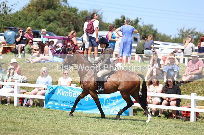 3E7A9413 - Class 12: Open Racehorse to Show Horse