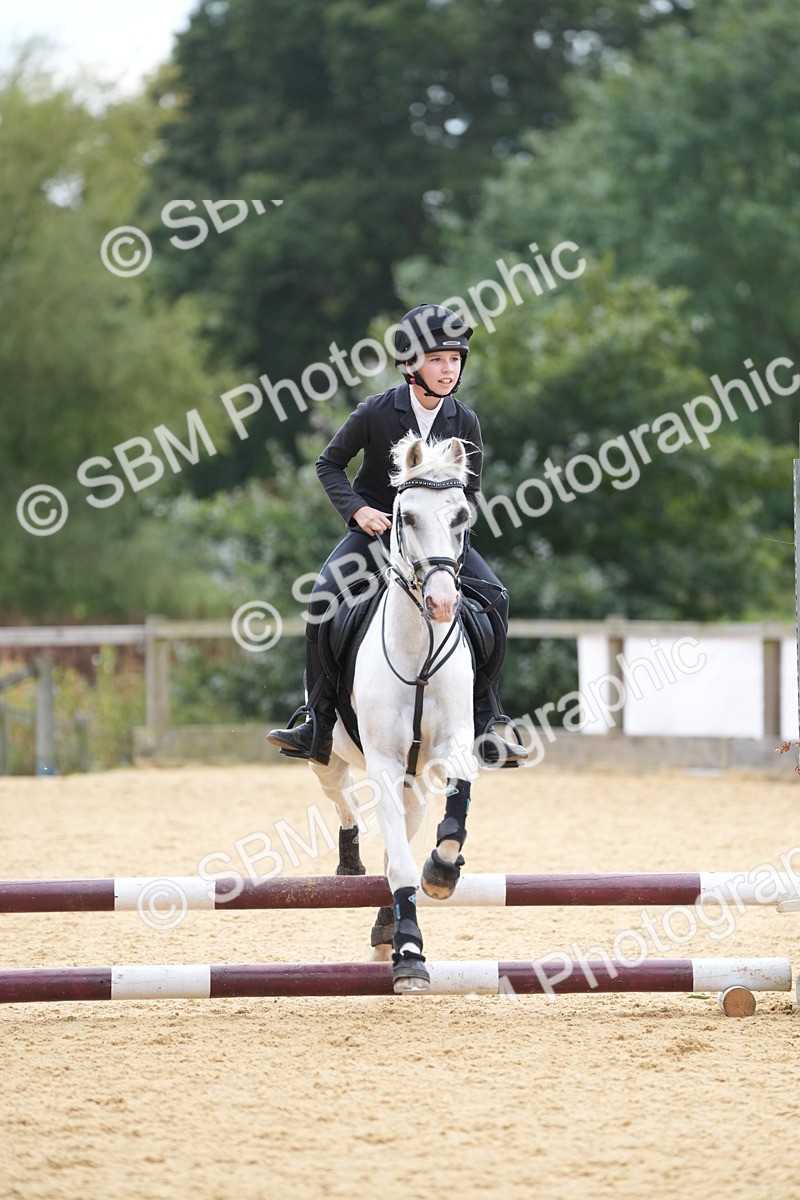 SBM_74796 - J4 - Mini Tour Junior Pony 45cm Championship