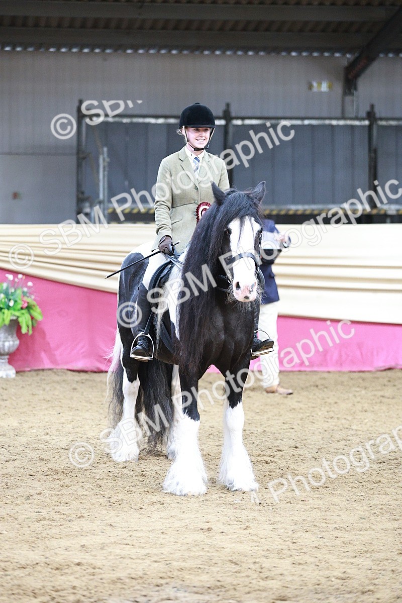 SBM_08675 - Regional Ridden Champ