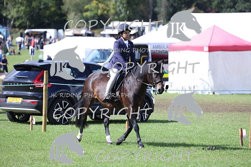 APP_3479 - Class 12 M&M ridden