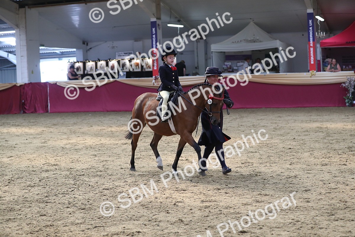 SBM_08377 - Class 11R Regional Ridden Veteran