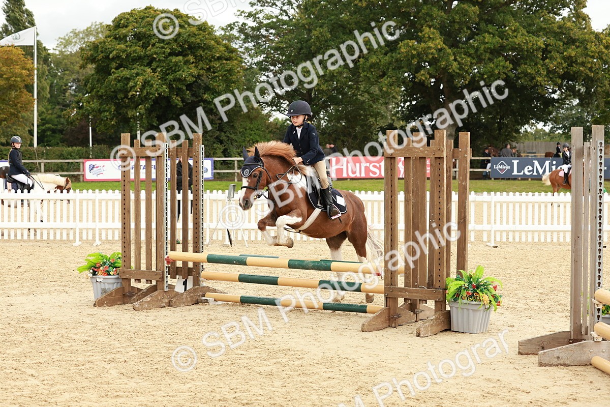 SBM_66971 - J13 - Junior Pony 60cm Championship