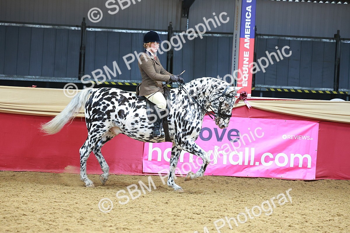 SBM_12405 - Class 103 - HOYS Veteran Qualifier - Ridden Pre Vet