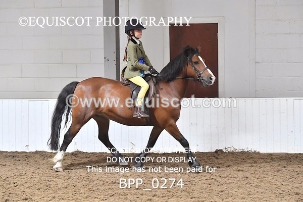BPP_0274 - RING 1